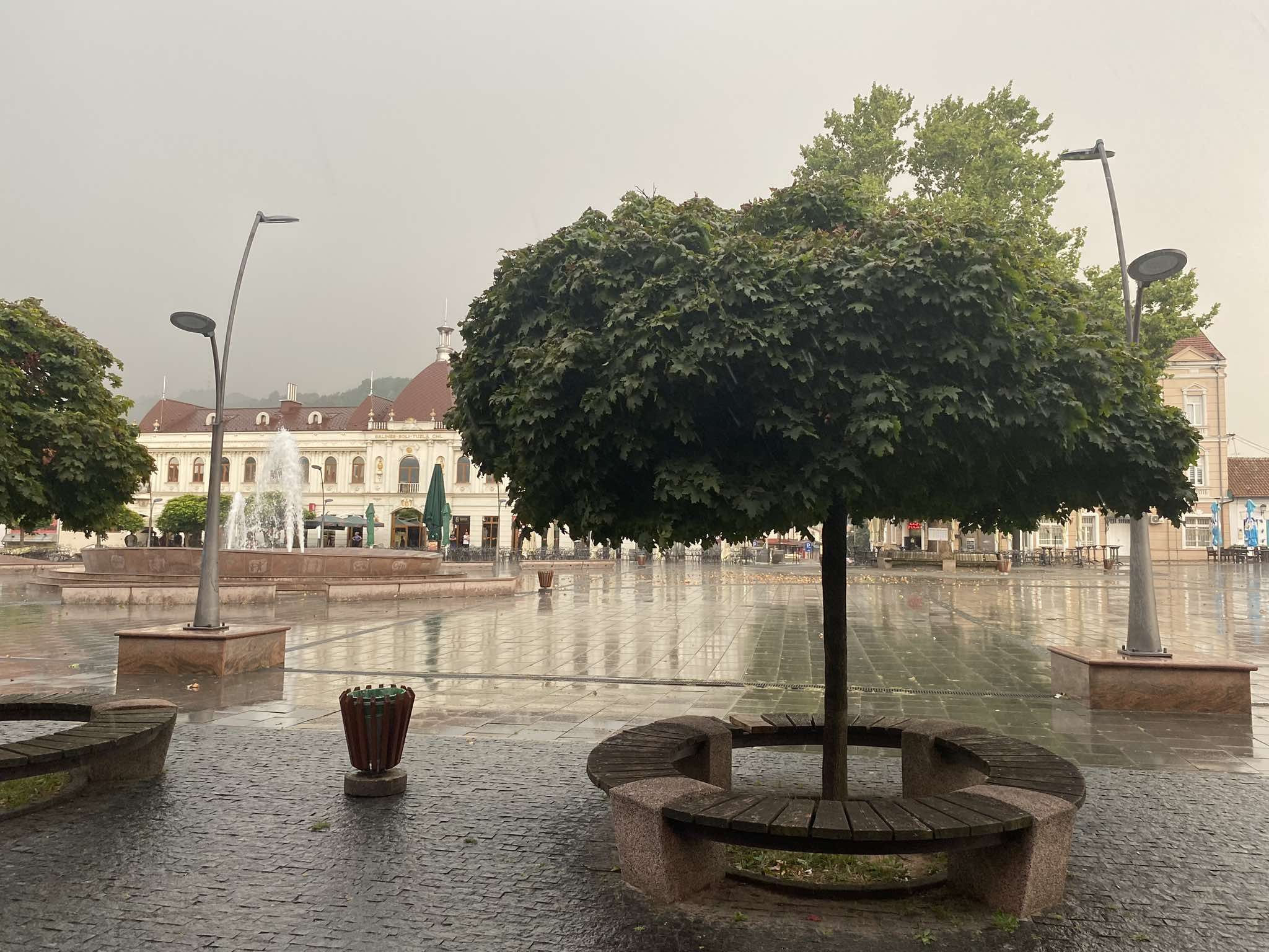 449793708_1510410093247439_1015201519838754367_n