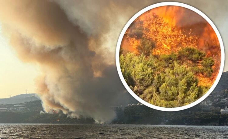 1721324684-pozar-seget-nn-naslovnica-750x456