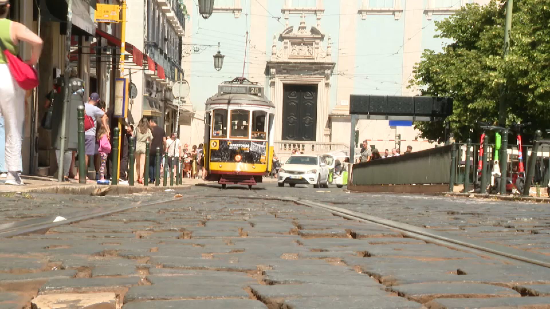 oliveira