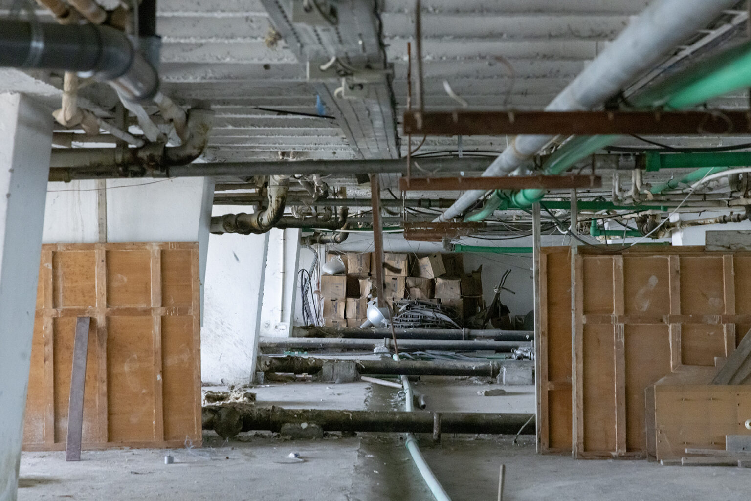 1721235262-7I5A9999-copy-1536x1025