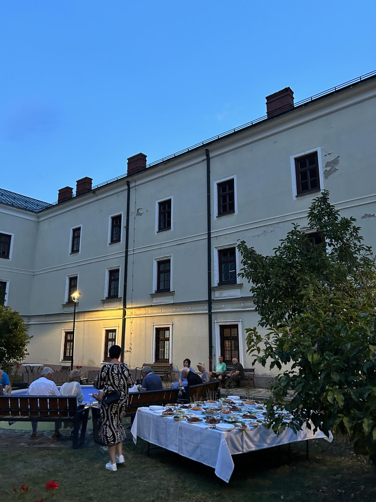 viber_image_2024-07-29_15-00-54-758