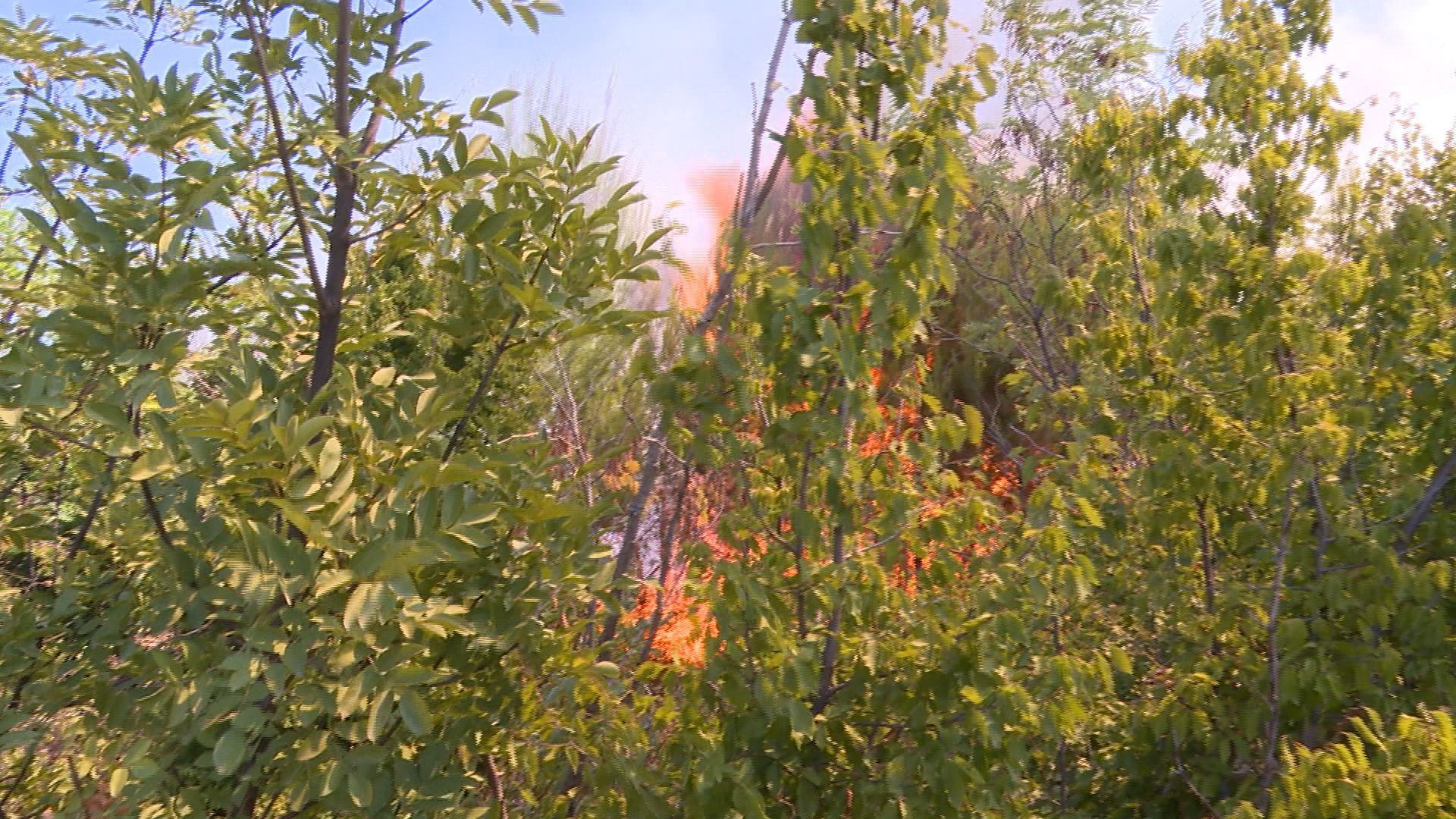 Požar kod Mostara: Gašenje otežavaju nepristupačan teren, vjetar i visoke temperature