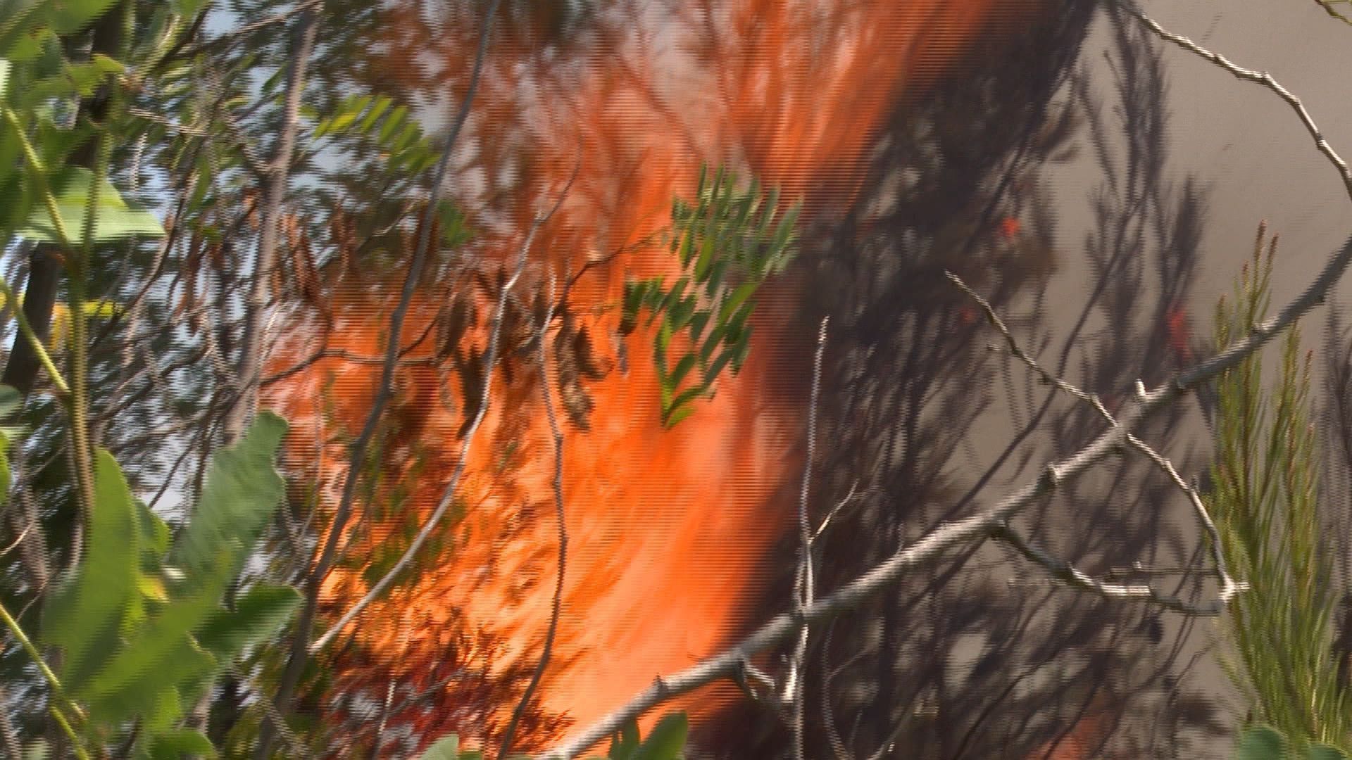 Požar kod Mostara: Gašenje otežavaju nepristupačan teren, vjetar i visoke temperature