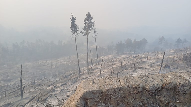 8a24b5c9-6a3a-4e0f-83db-b130226a463b