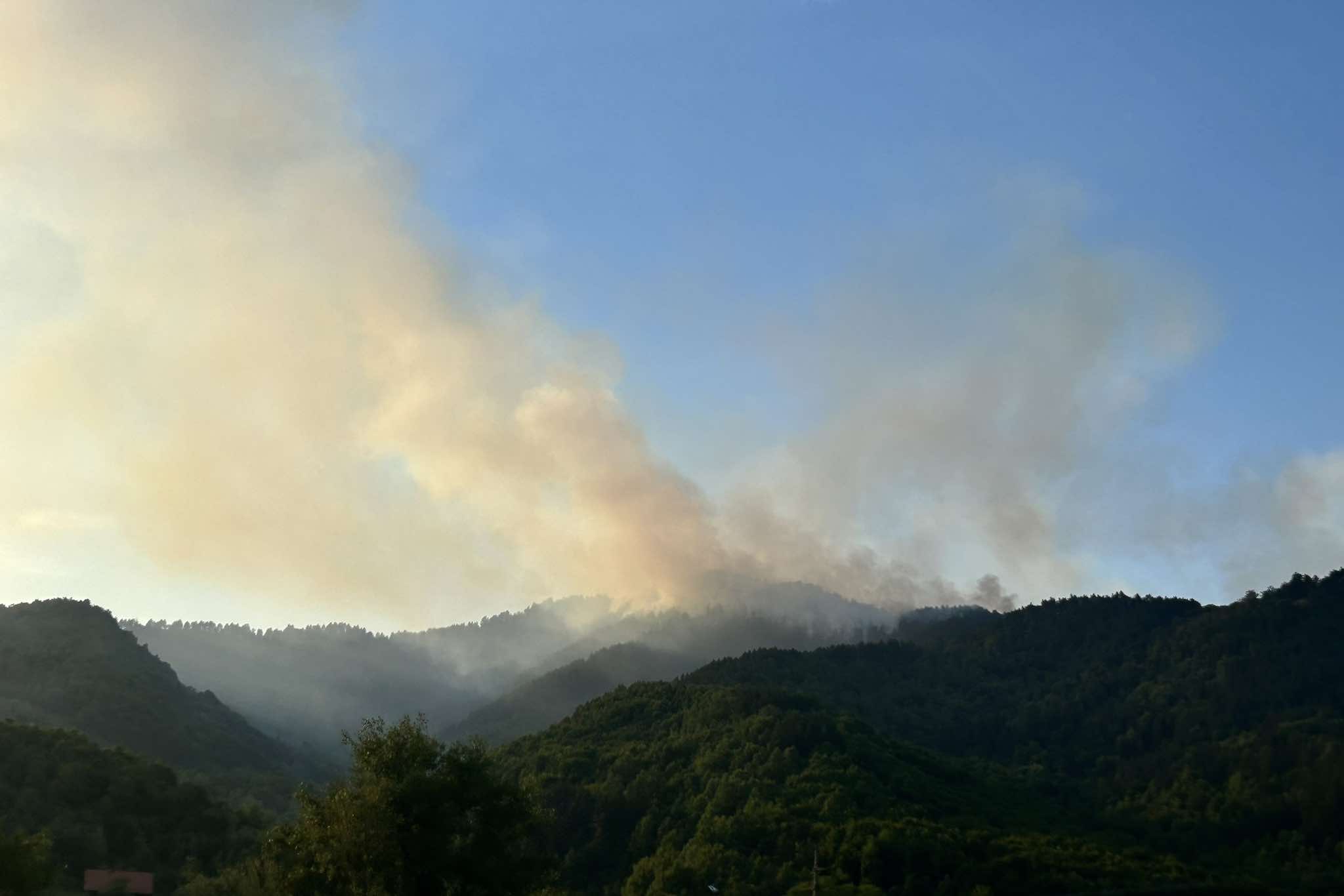 450951130_1688923045219930_5028738086395176233_n