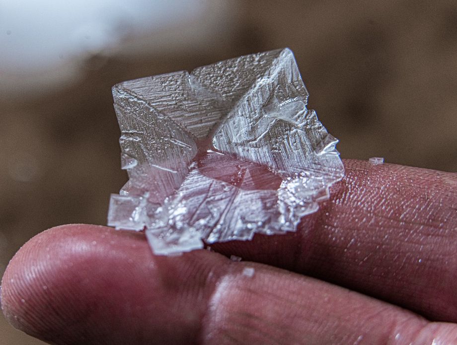 62875292-blackthorn-morska-sol-iz-skotske