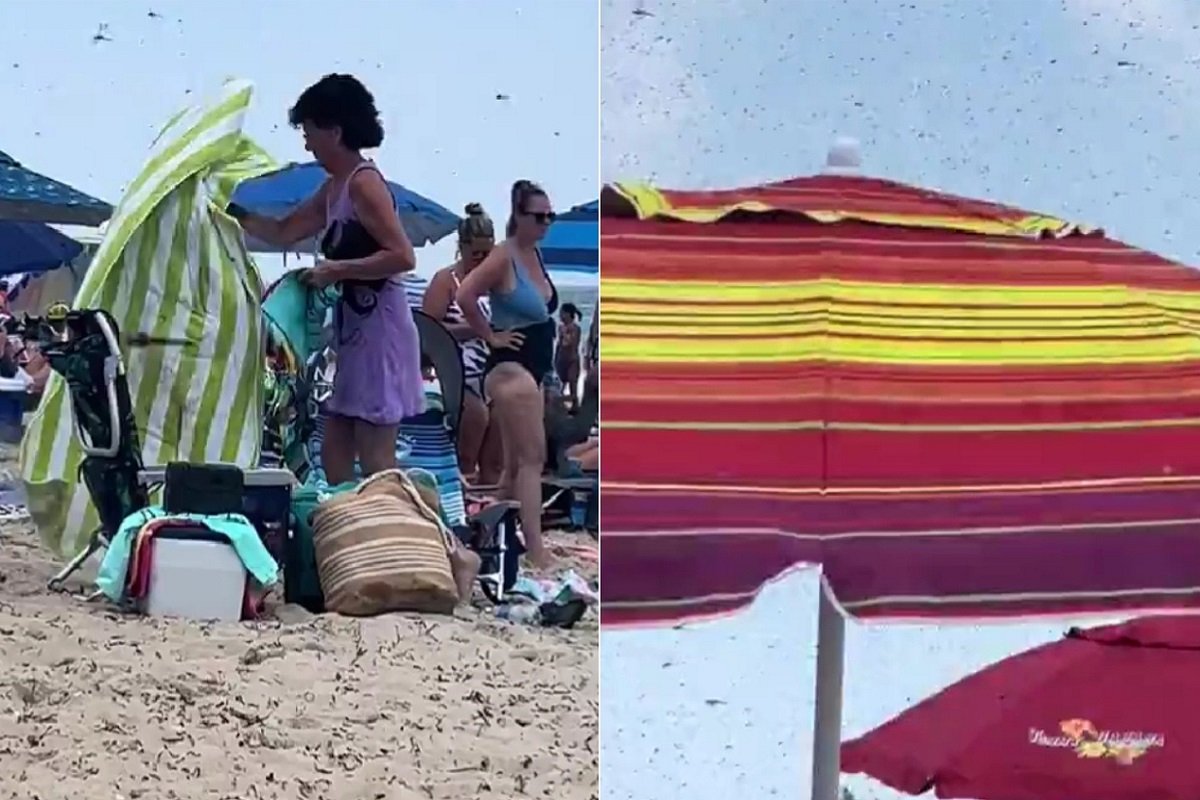 20240802112105_848445