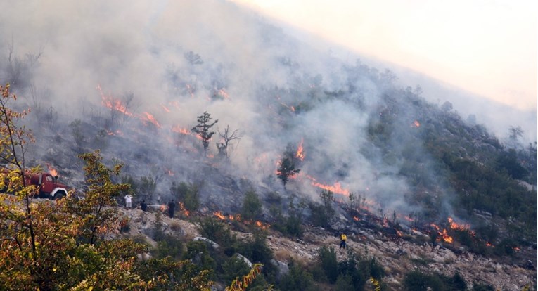 a6efbc9d-beba-4118-a5ce-c53f23029530