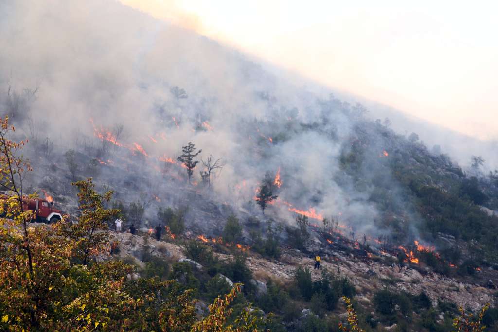 l_9e490b0e64c2be4e2b4cd2dcbaac14b4