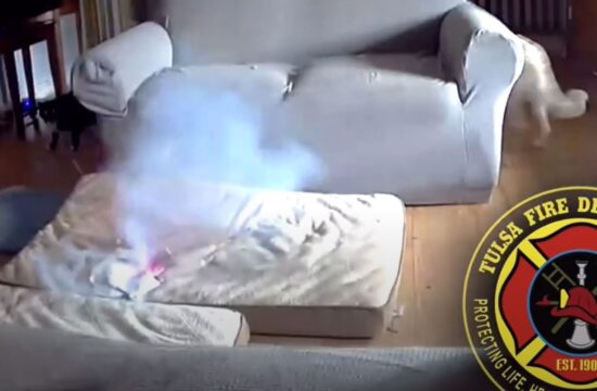 1723035464-Capture-550x360