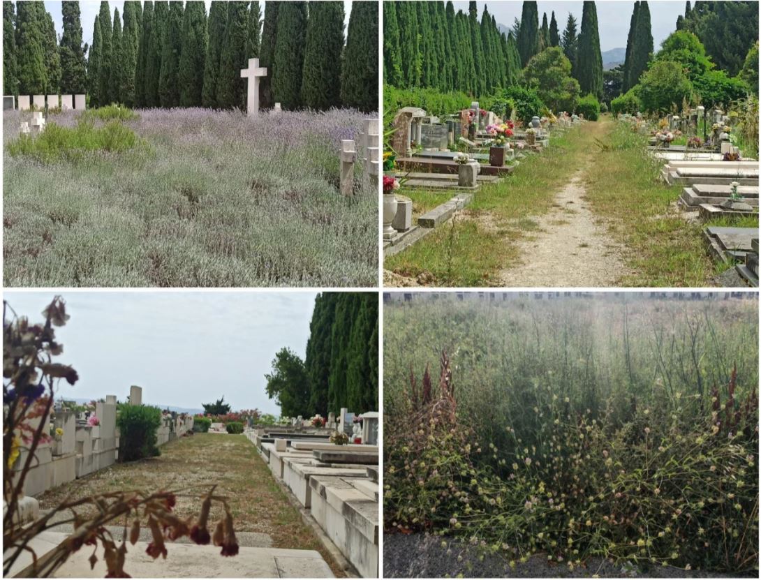 groblje lovrinac hrvatska