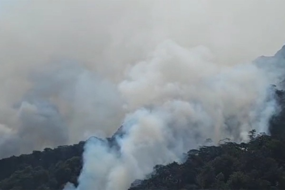 20240813072002_850217