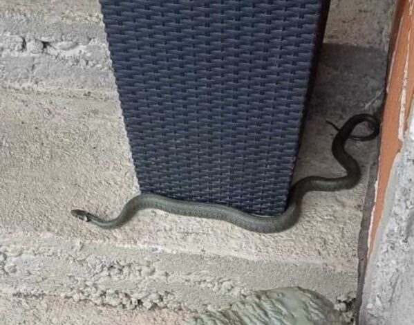 1723631857-2342417-e1723632120810