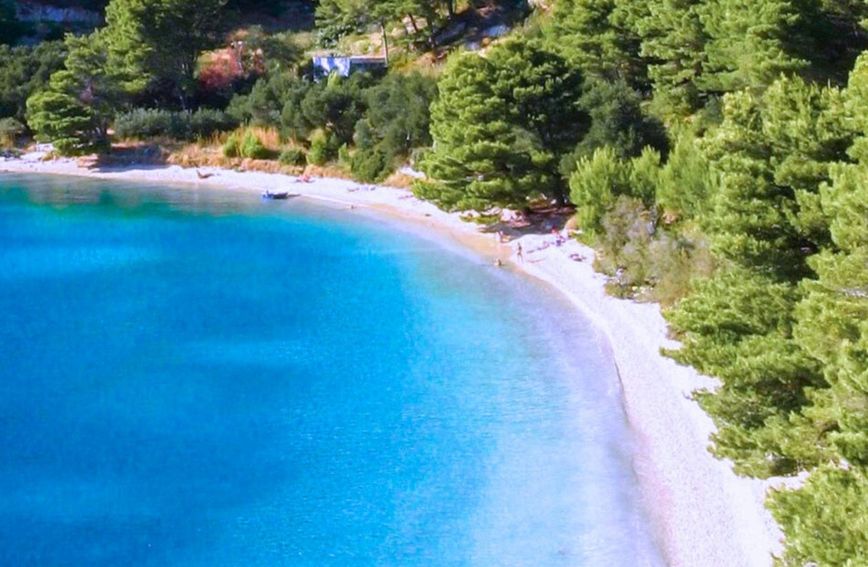 62884710-velika-duba