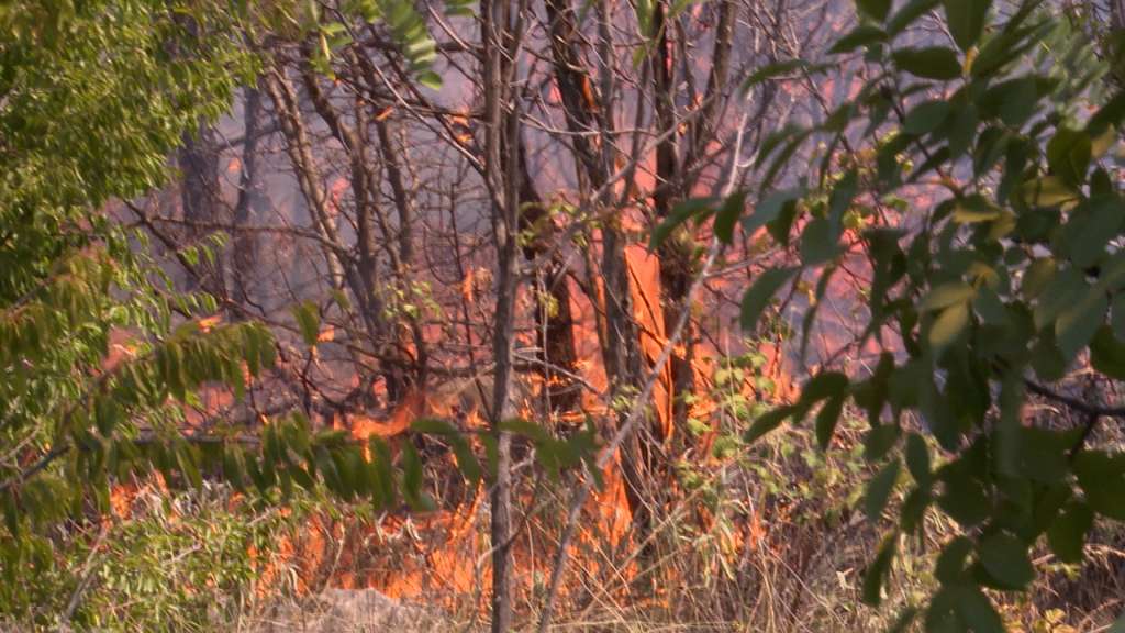 požar konjic