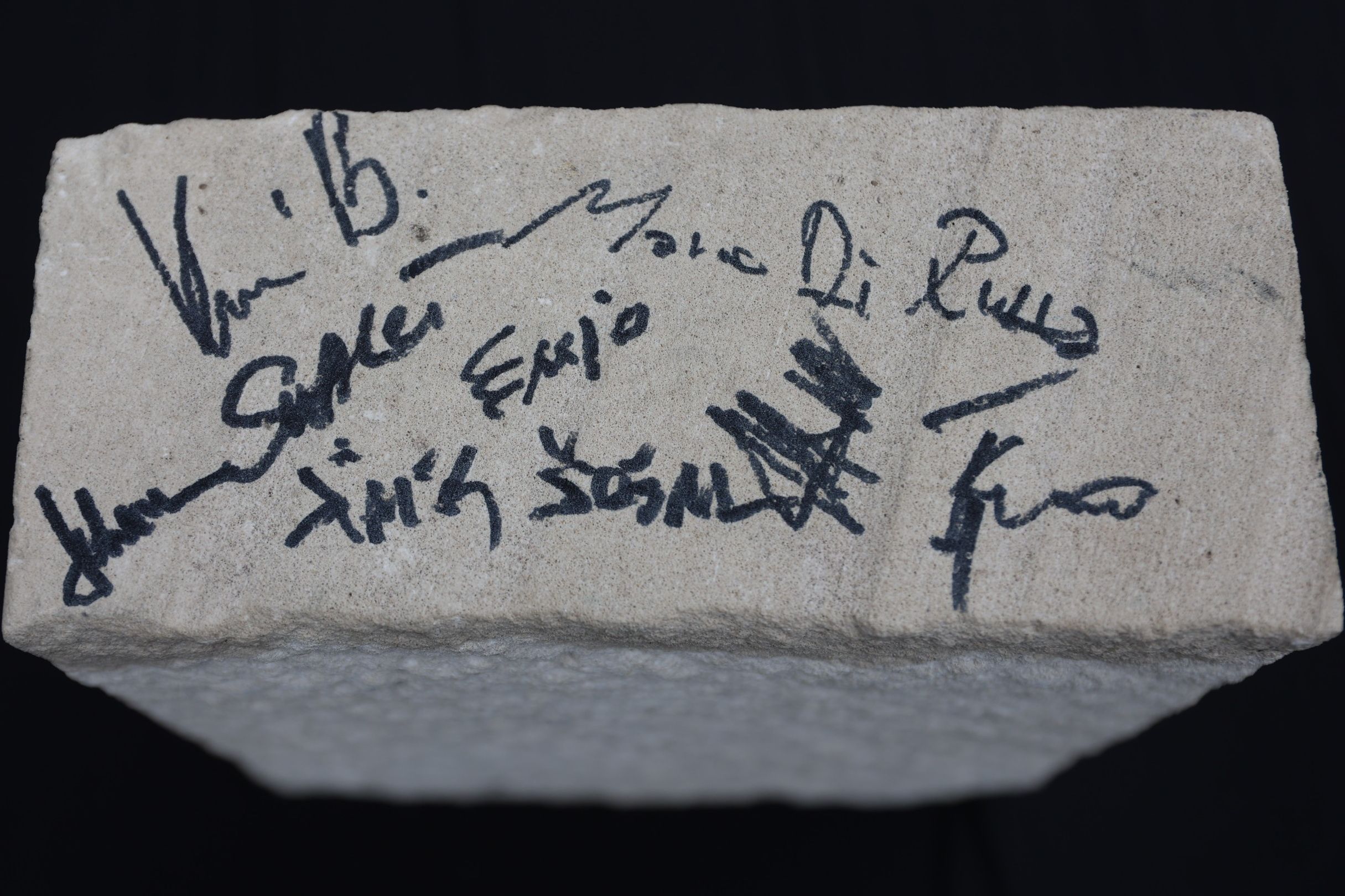  FENA/Harun Muminović