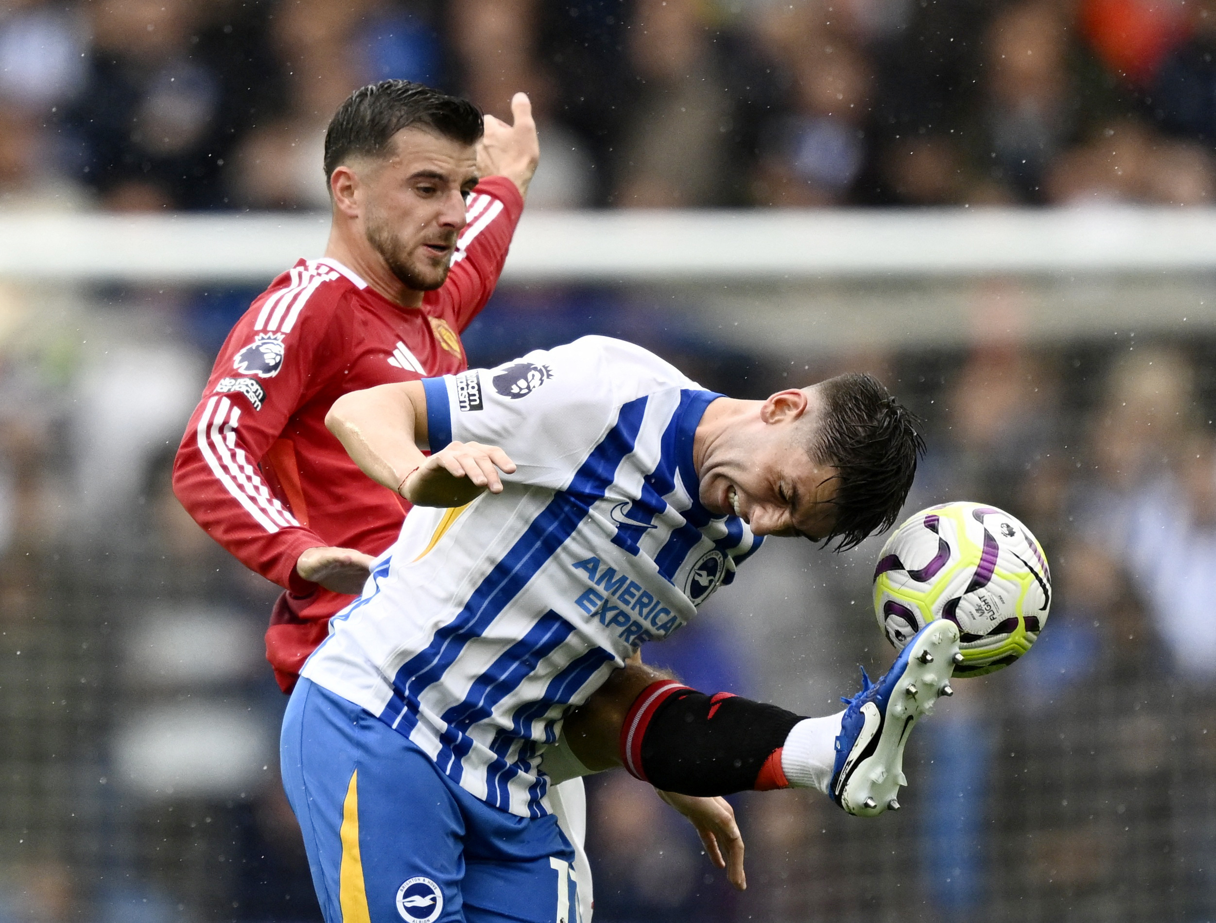 Premier League - Brighton &amp; Hove Albion v Manchester United