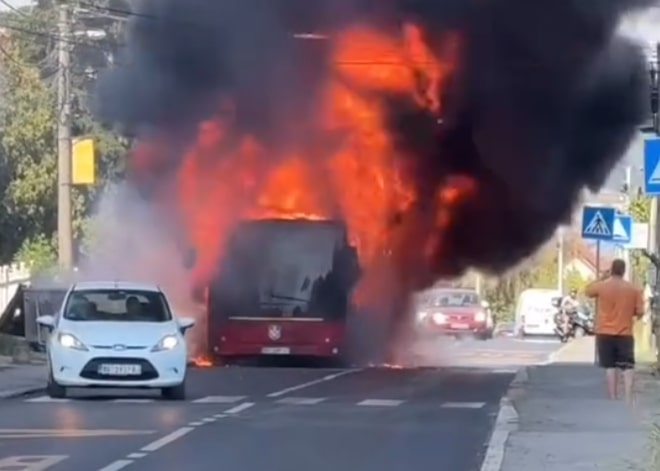 1724503707-zeleznik3