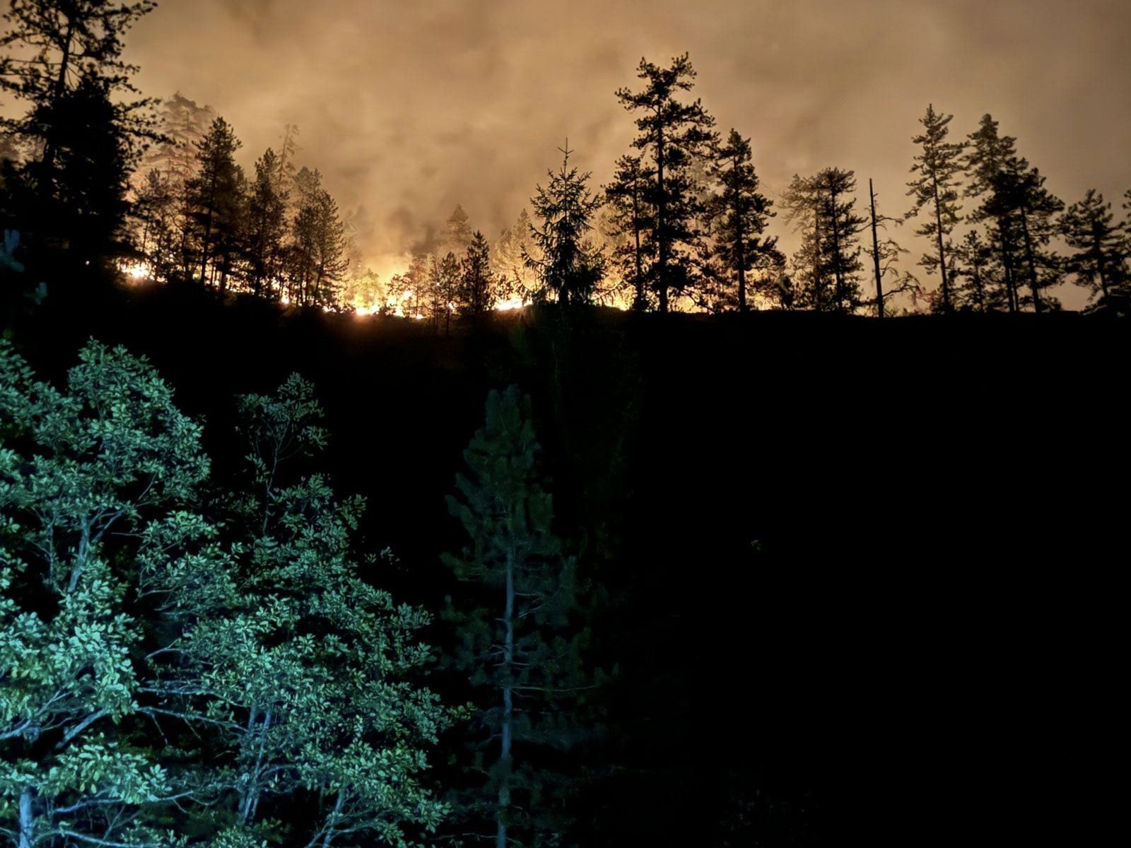 456833311_918714790295432_6384320892629326270_n