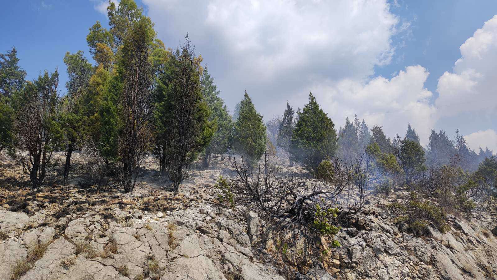 požar-mostar-456586168_2059071564487982_6892479887957135523_n