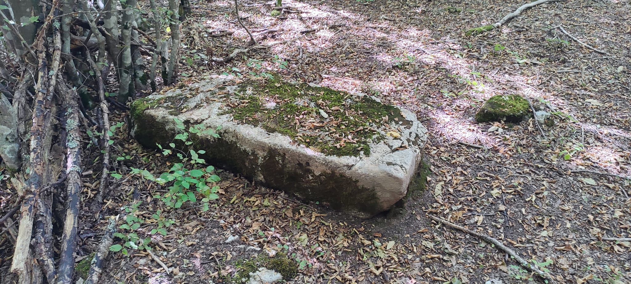 458411738_10233842305099194_2893797172699572205_n