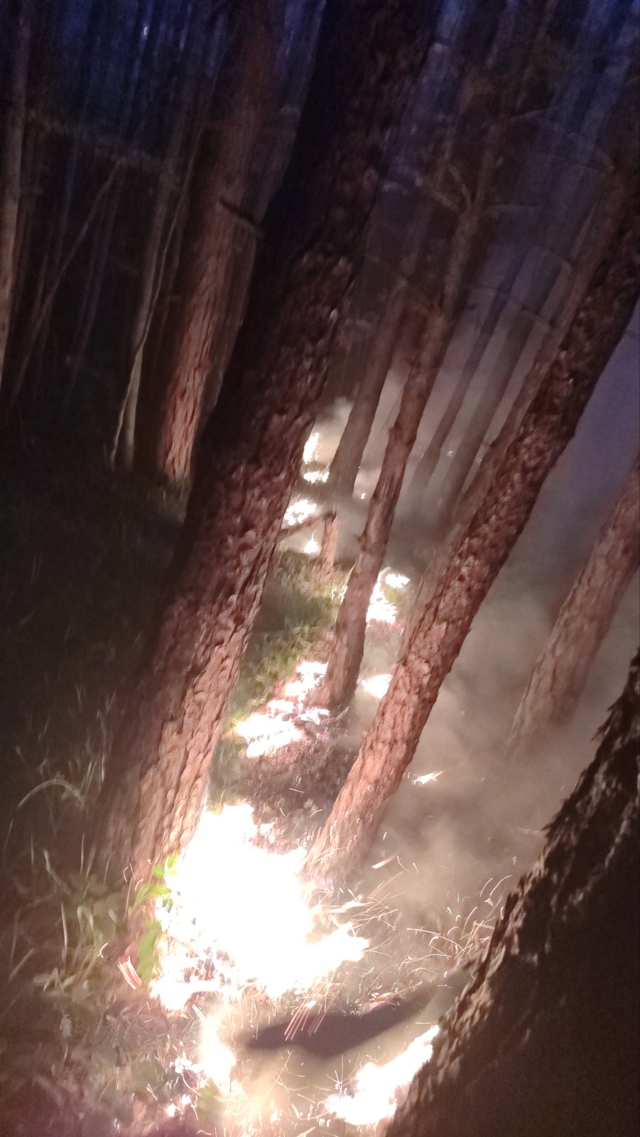 viber_image_2024-09-06_21-43-12-595