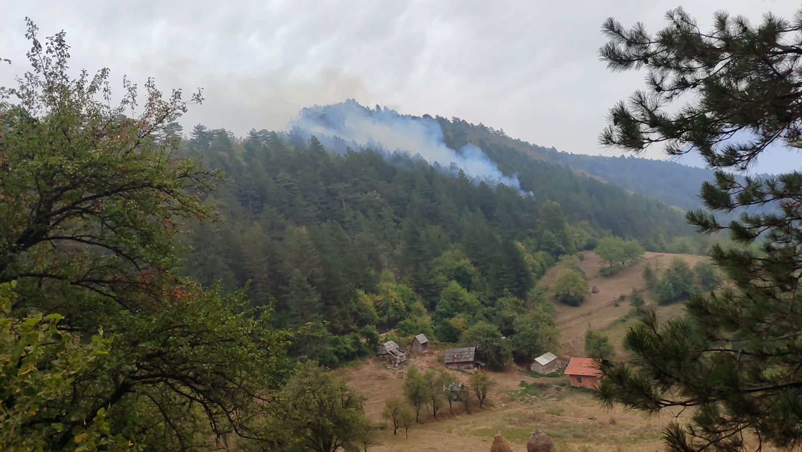 srebrenica požar luke
