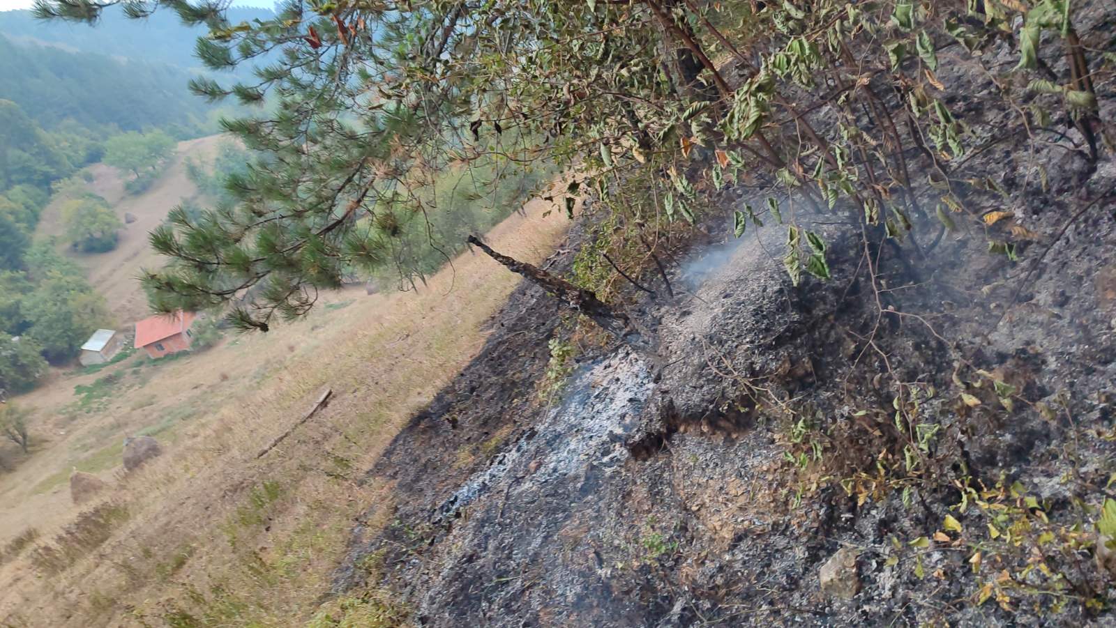 N1 (Situacija na požarištu jutros)