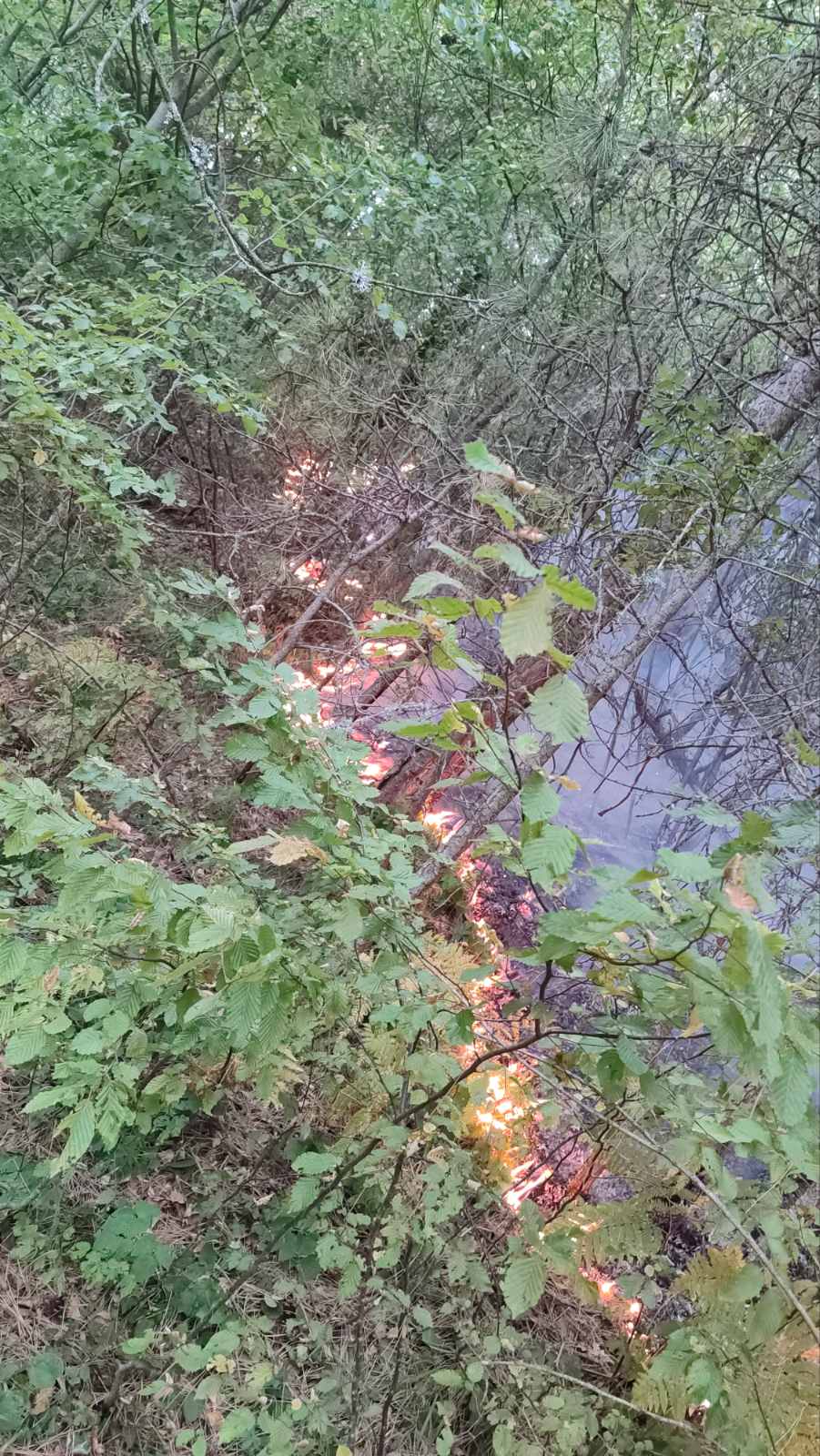 srebrenica požar luke