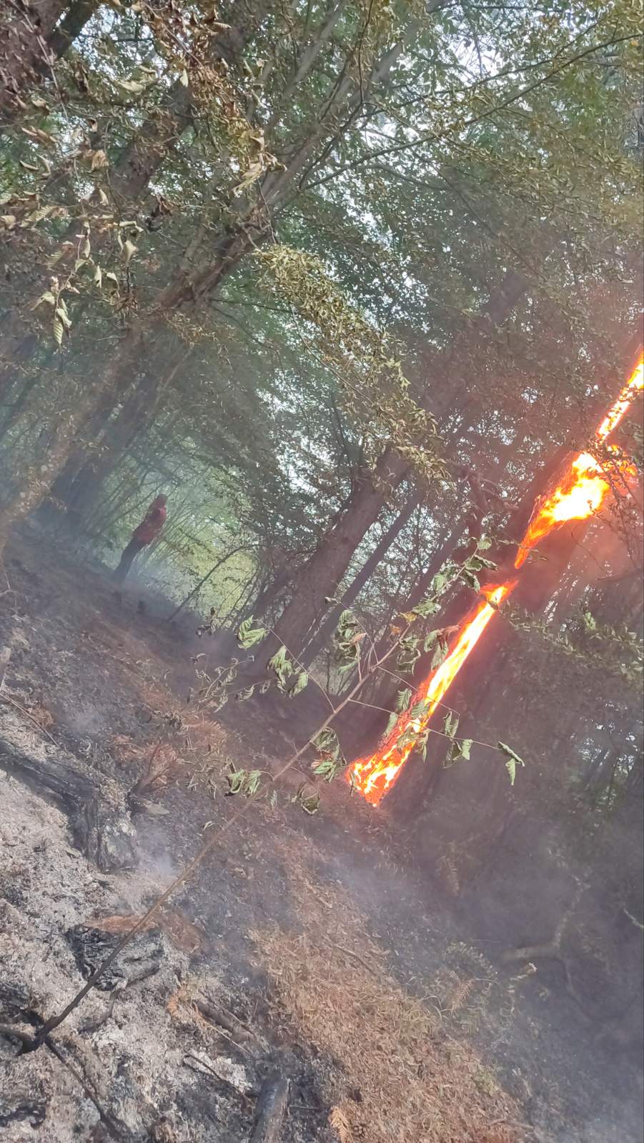 viber_image_2024-09-09_08-40-25-864