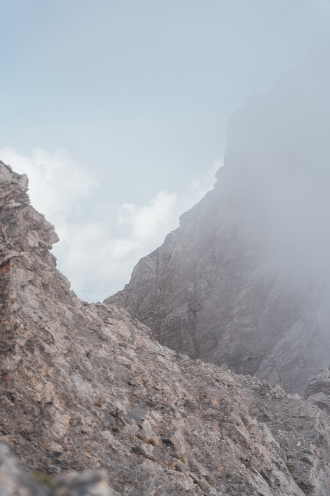 Ustupljena fotografija/N1