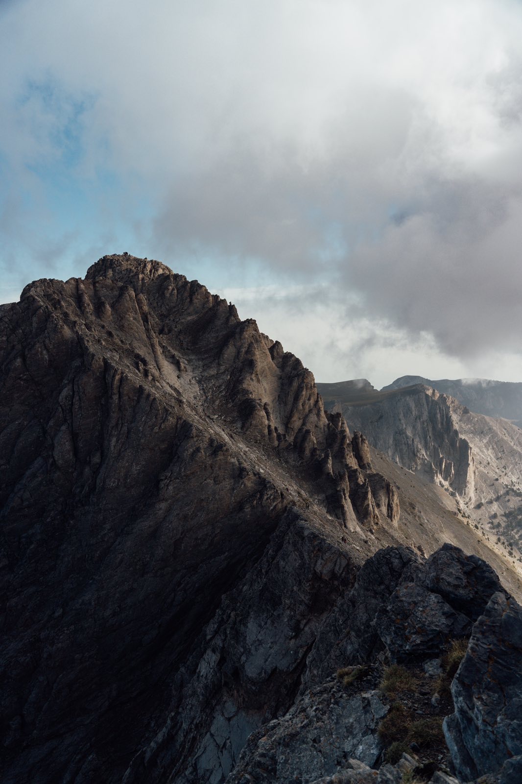 Ustupljena fotografija/N1