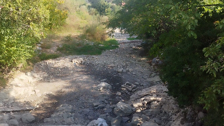 1725446523-Pomor-riba-u-Ribnica-kod-Mionice-2-768x432