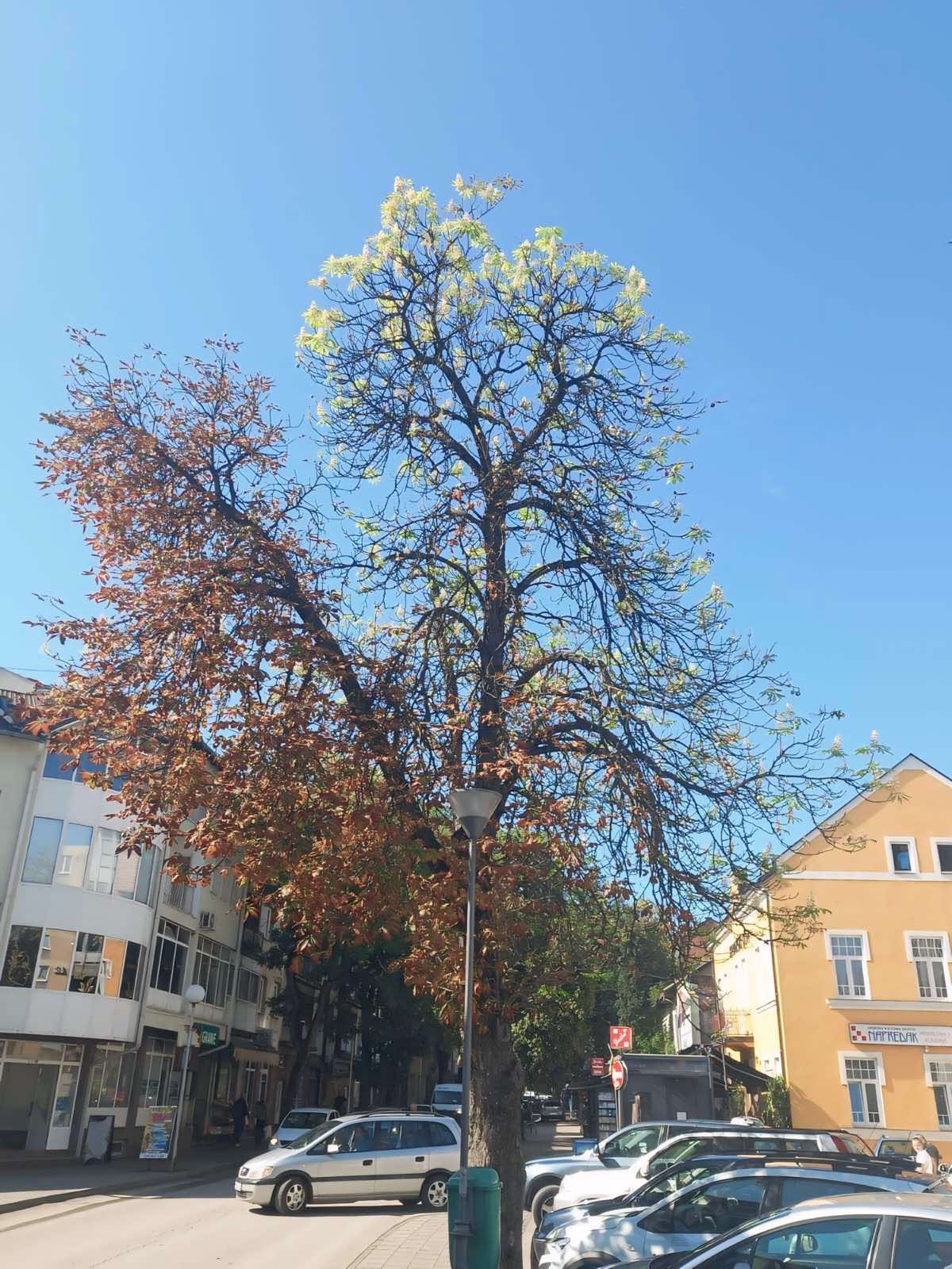 459251951_836172365304869_8272748052361389647_n