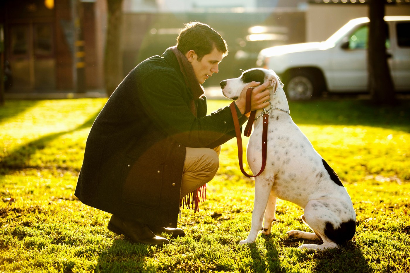 Man petting dog in park