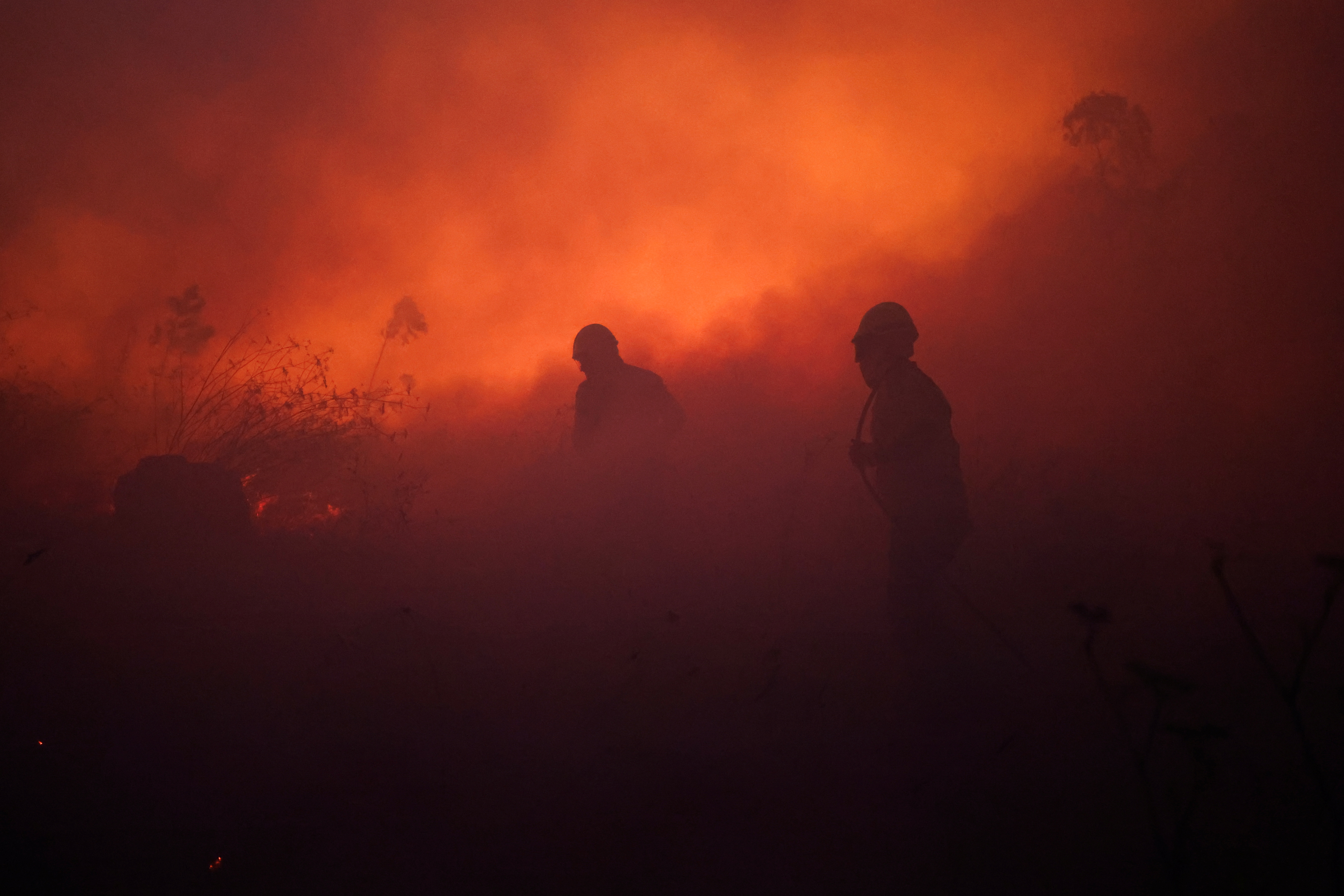 Firefighters covered in smoke work on a wildfire in Veiga, Agueda