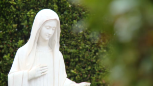 1726748266-gospa-medjugorje-300x169.png