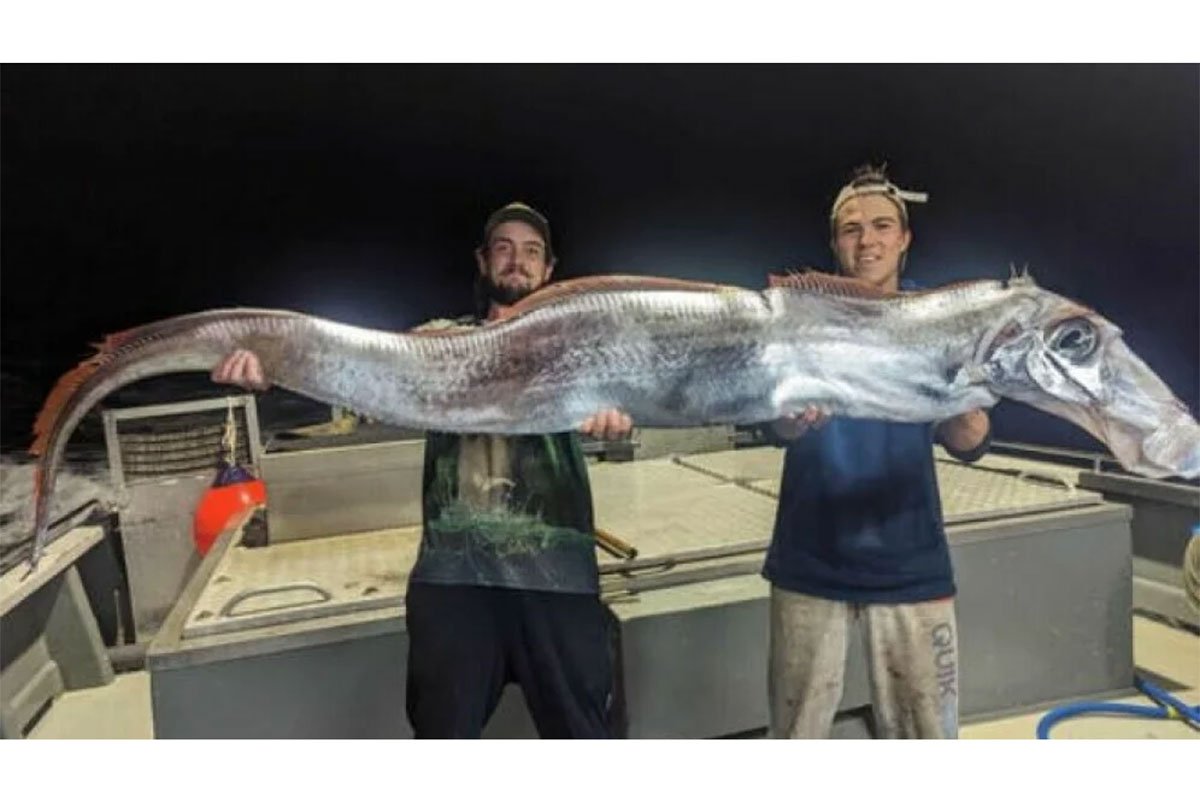 20240925122323_858689