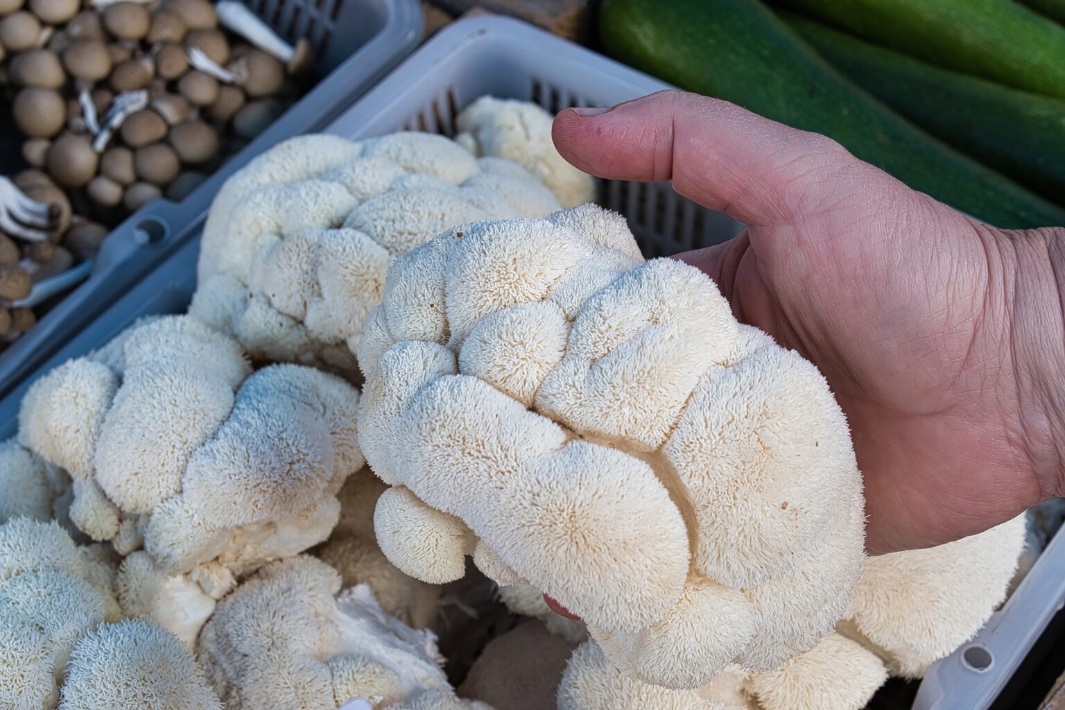 Lions,Mane,Mushrooms,On,A,Farmer's,Market,Counter.