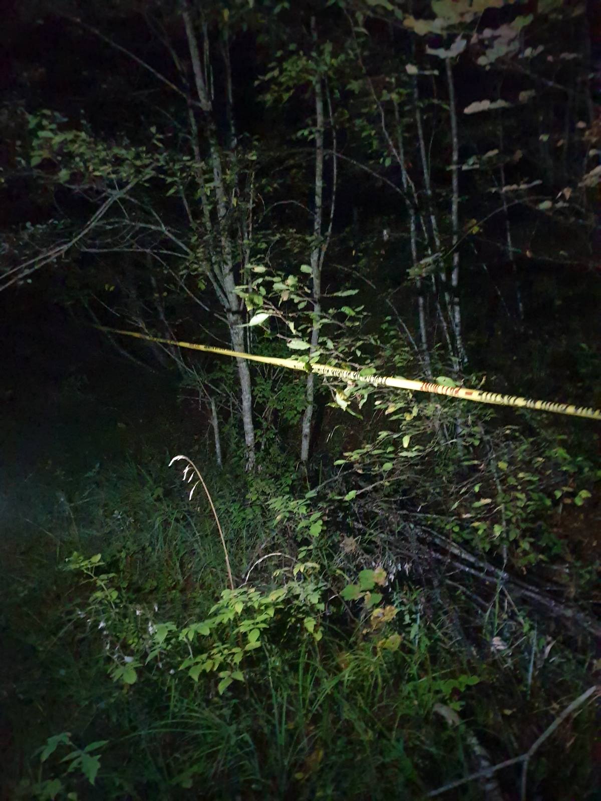 IMG-c931baea48b228554f7bd56689984380-V