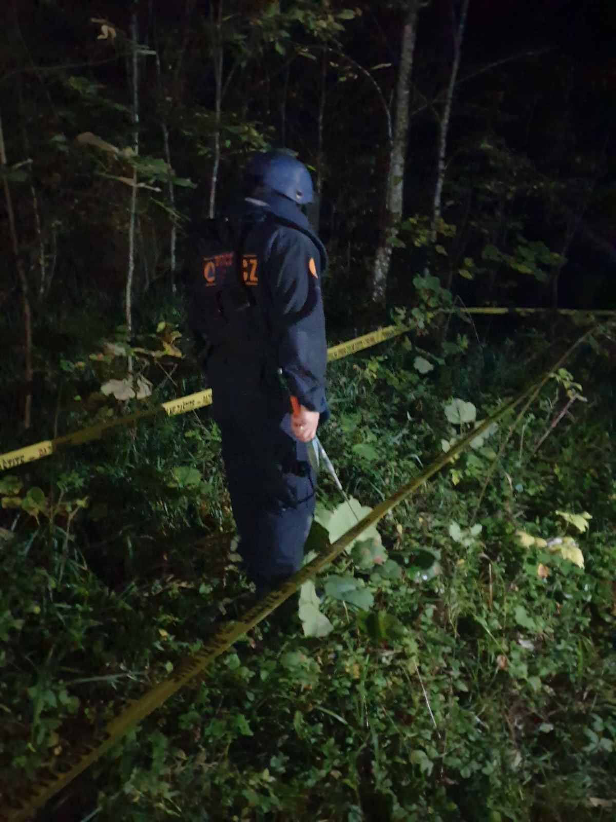 IMG-f216074e806a7118b20b527d18a71f81-V