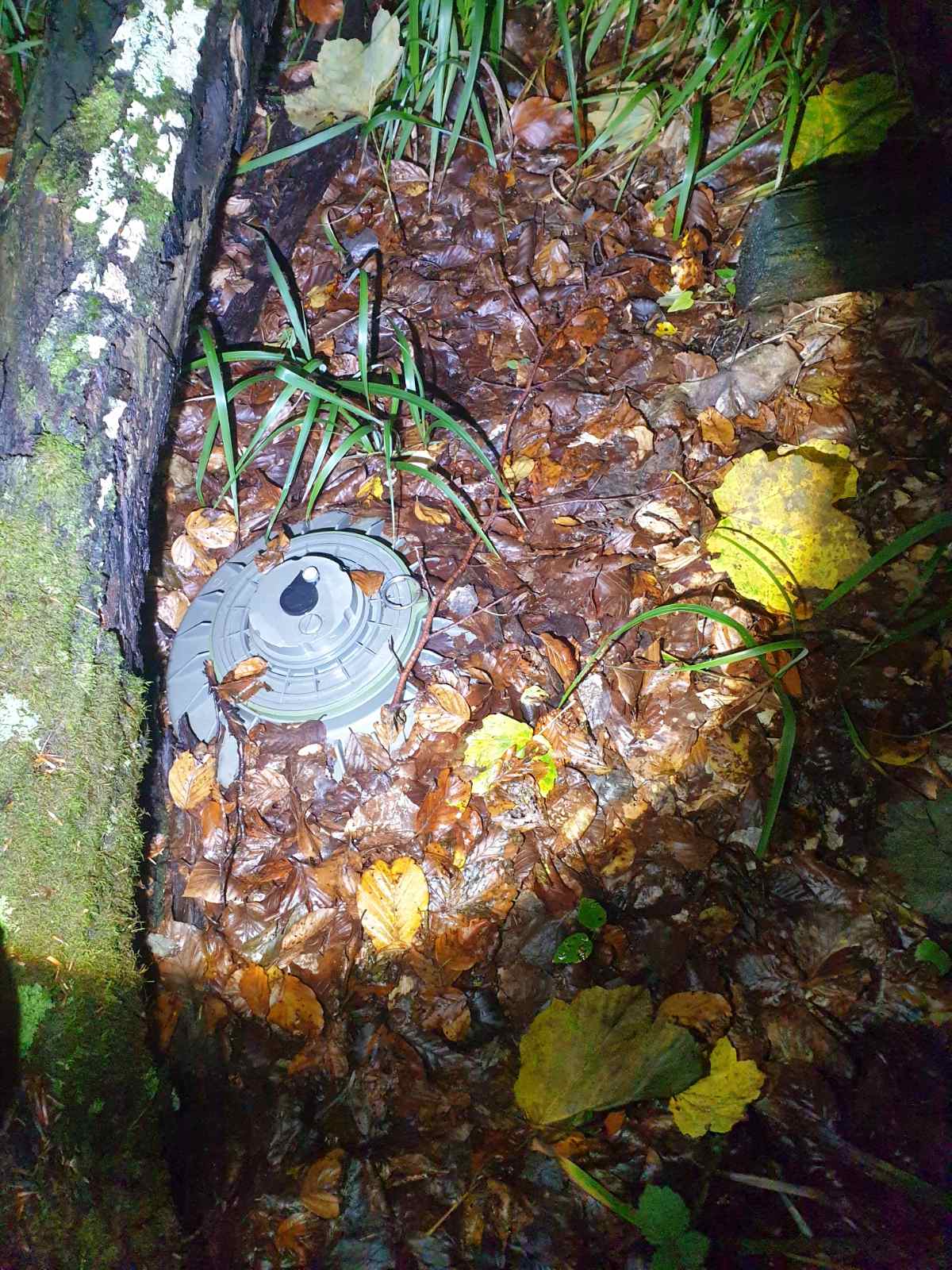 IMG-2ed9fa9c9c98fa1d38468b191b905568-V