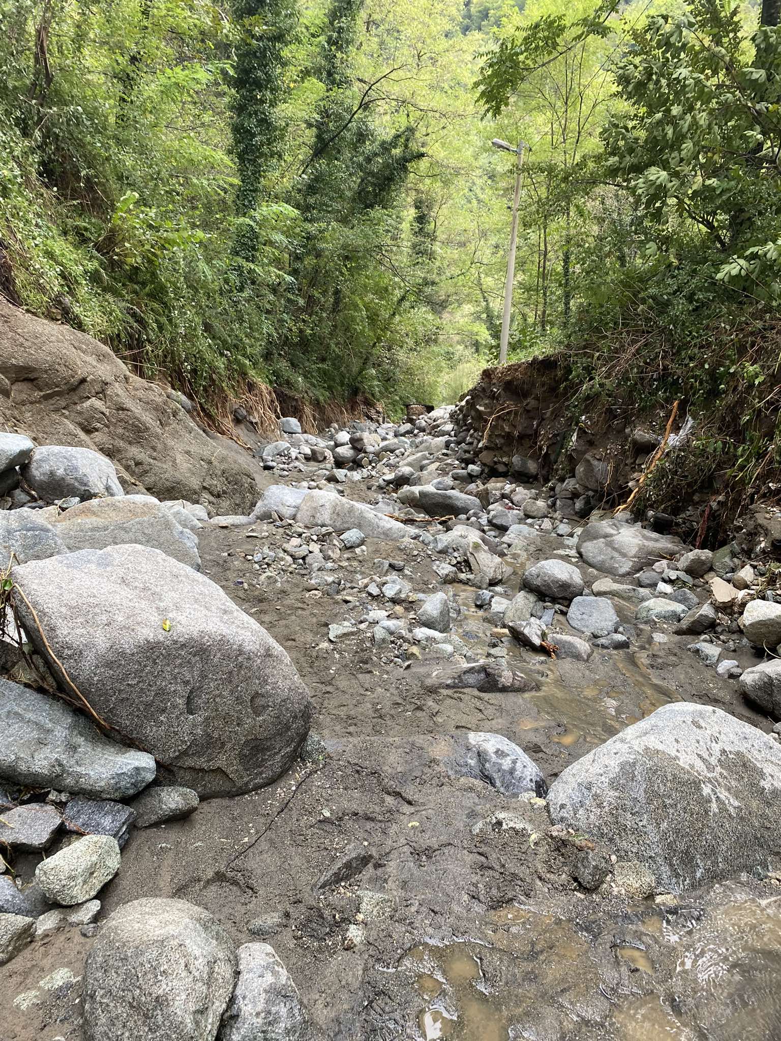 462005878_1076769157393920_2384734384365316298_n