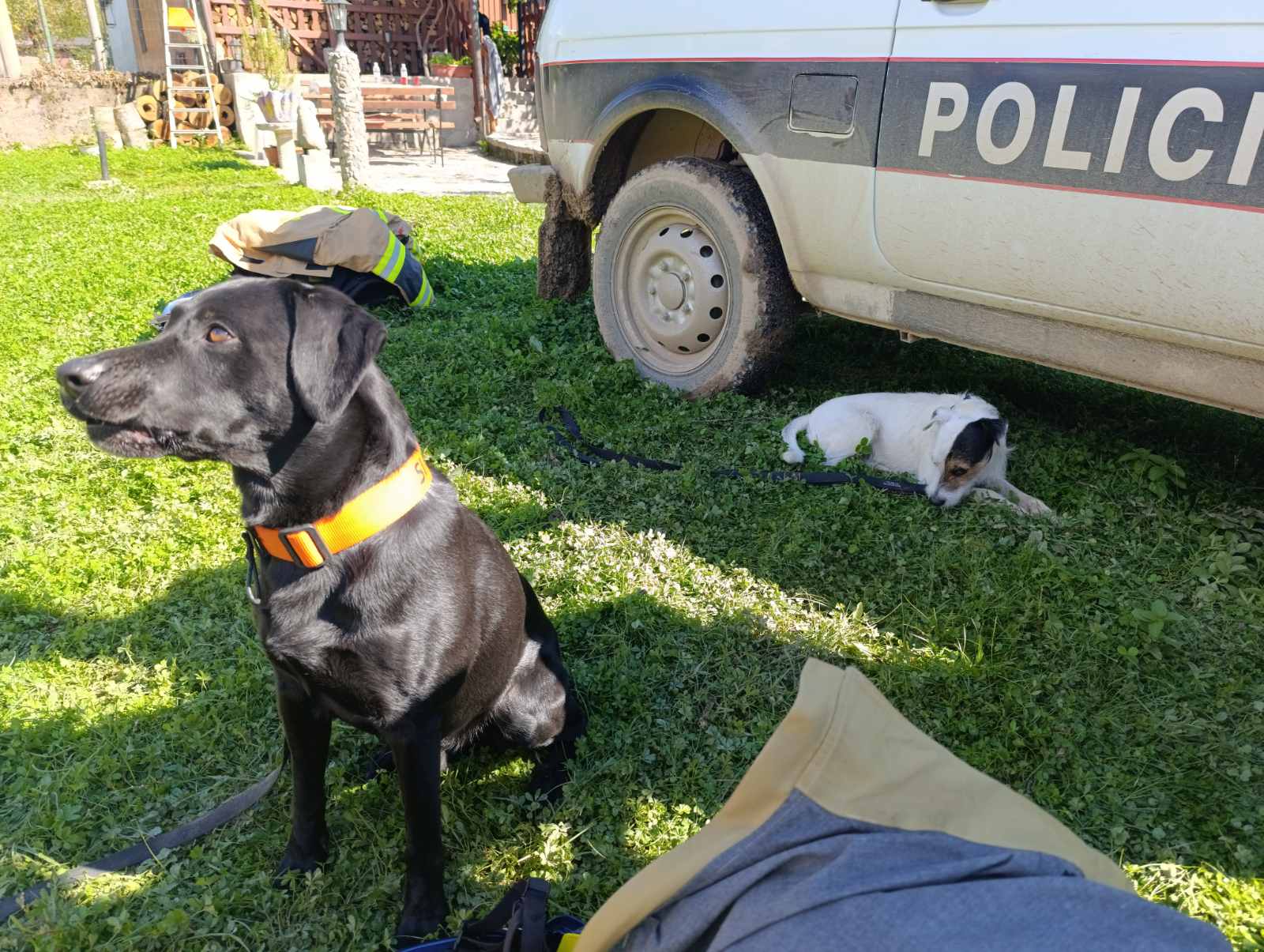 psi tragači iz slovenije