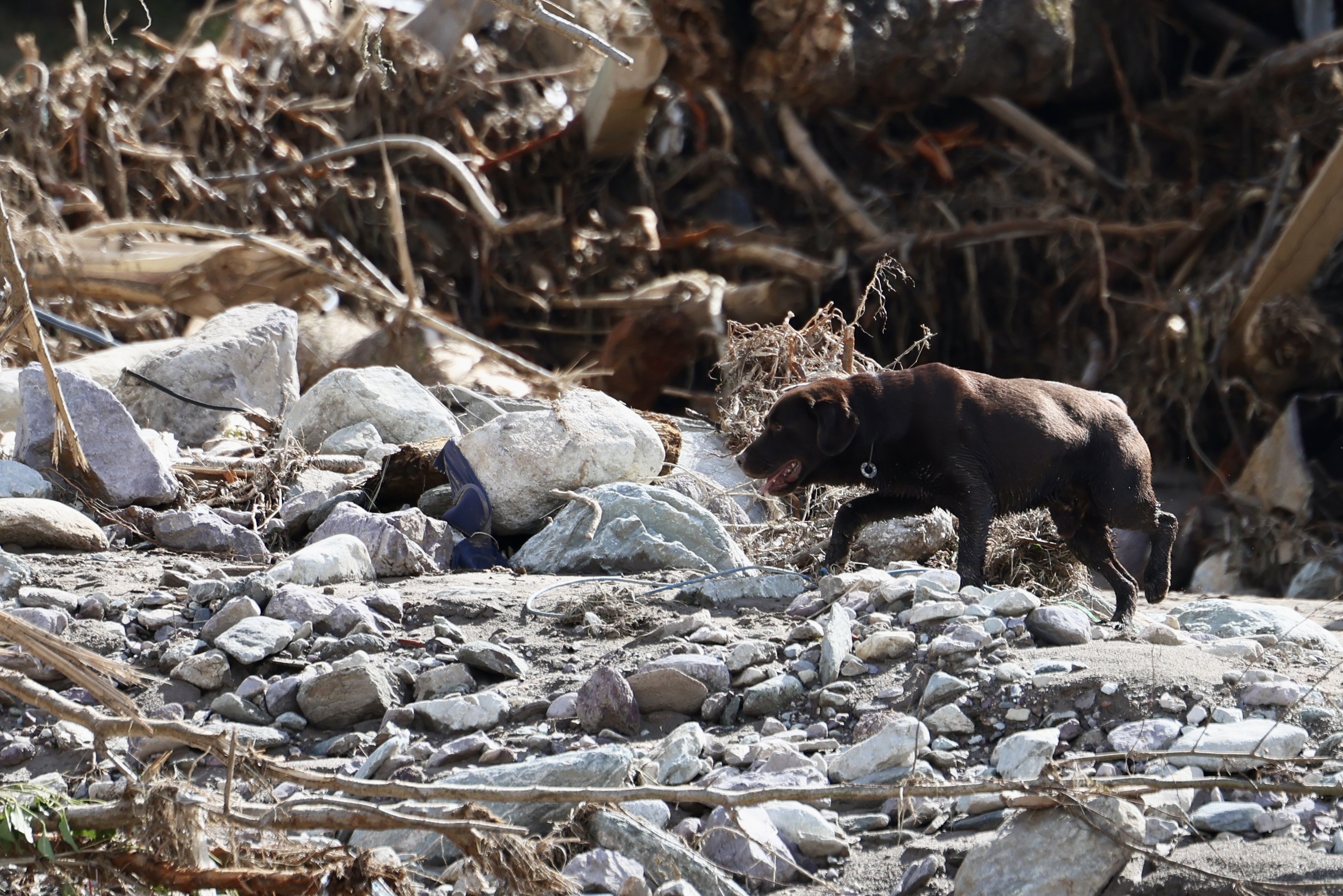Hrvatski spasioci i pas, poplave Buturović Polje