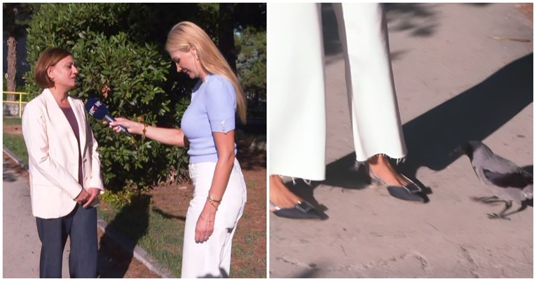 7a8ef2f2-7d04-4b26-a629-b442d950ce97