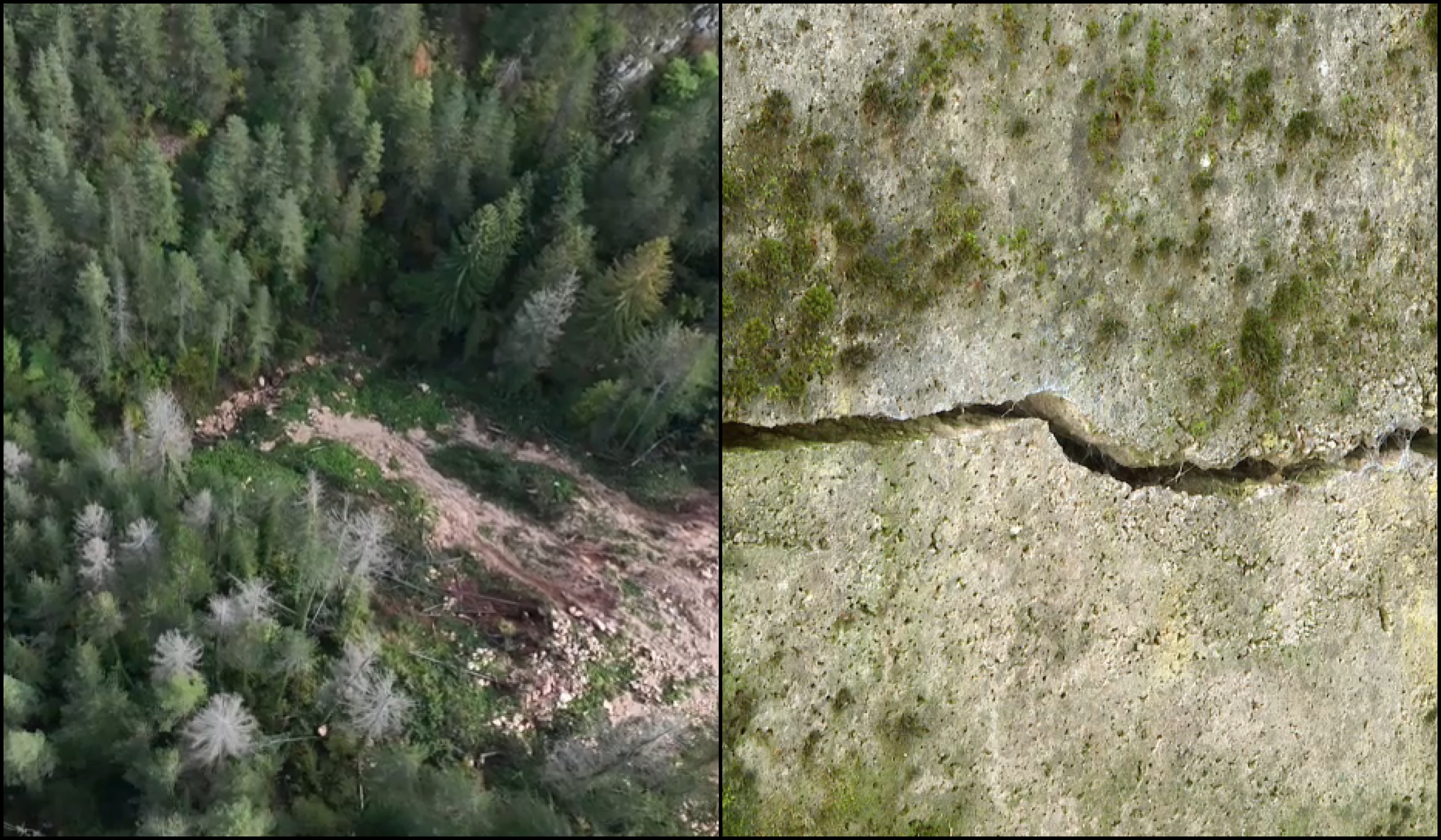 BeFunky-collage (78)