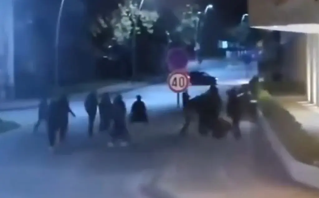 Tuča-navijača-Zenica-webp