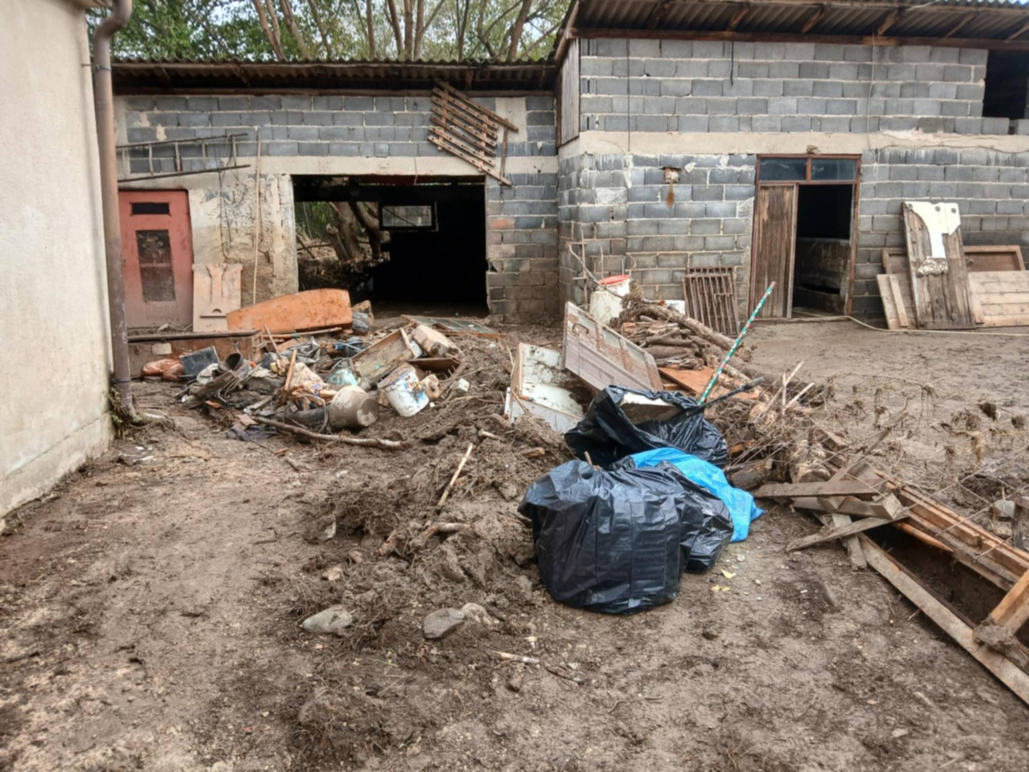 d429153f-b53b-4038-a2dd-e90d7b675239