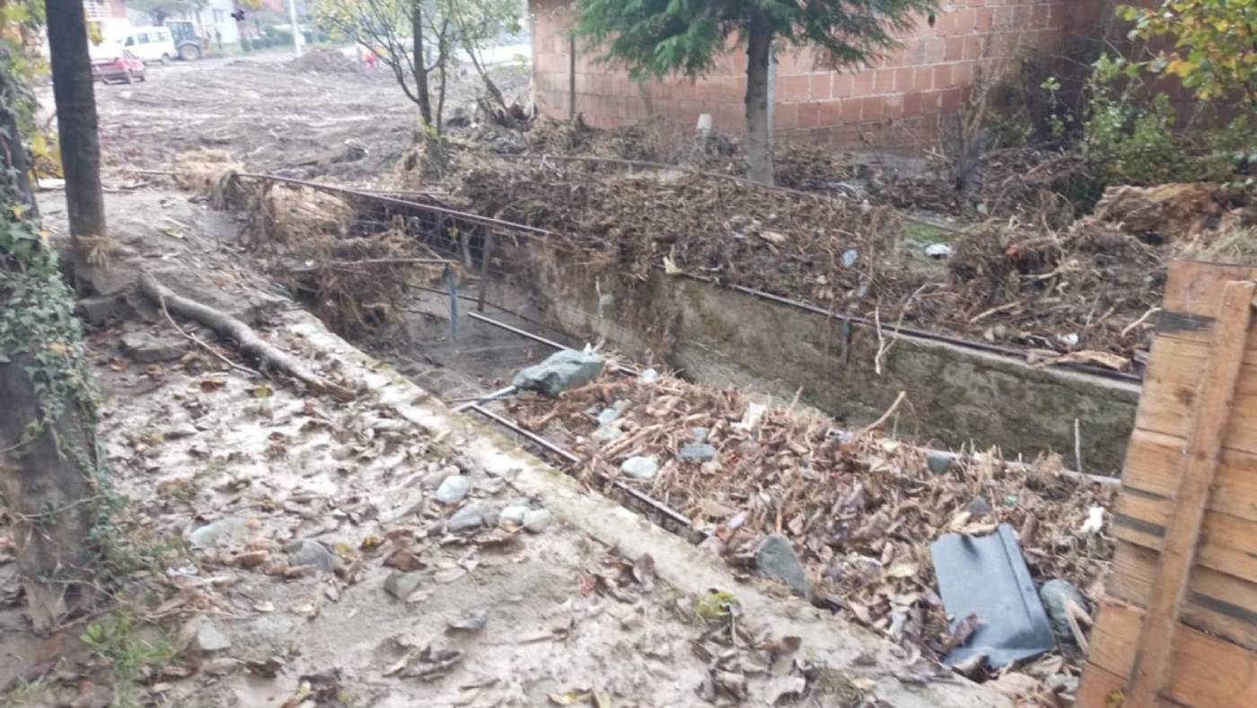 55d20975-305a-409e-9822-f18c80bc6b8e